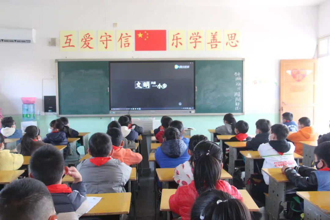 救援有趣的孔雀